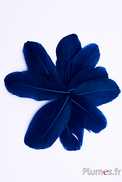 Pétales en plumes - 6-8 x 3-4 cm - bleu nuit